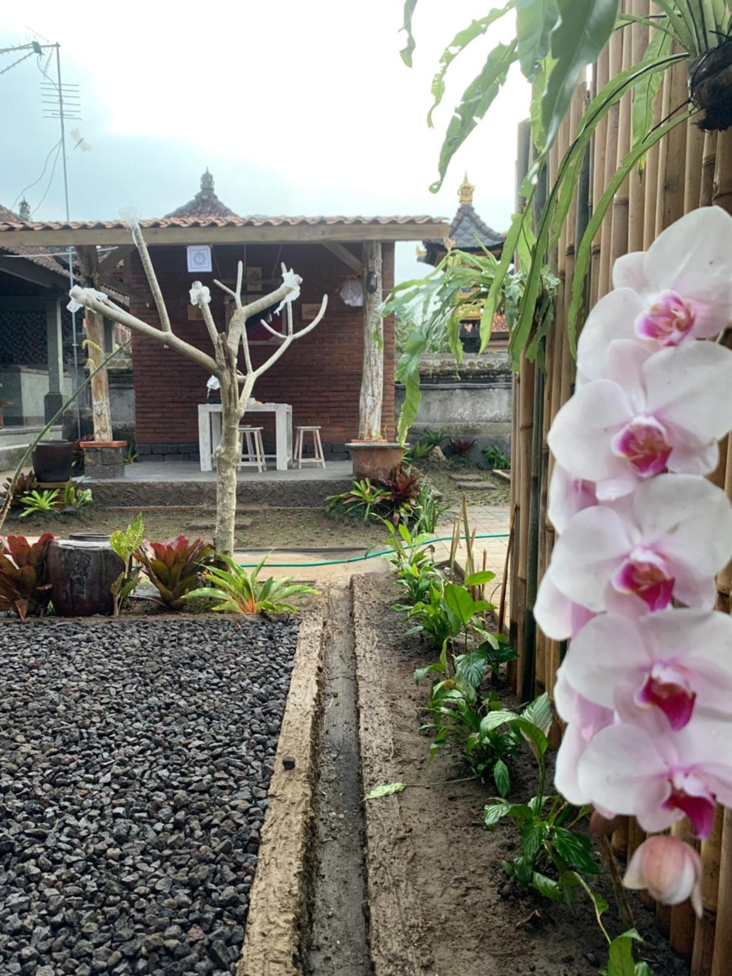 Ambara Guest House Tampaksiring Ngoại thất bức ảnh